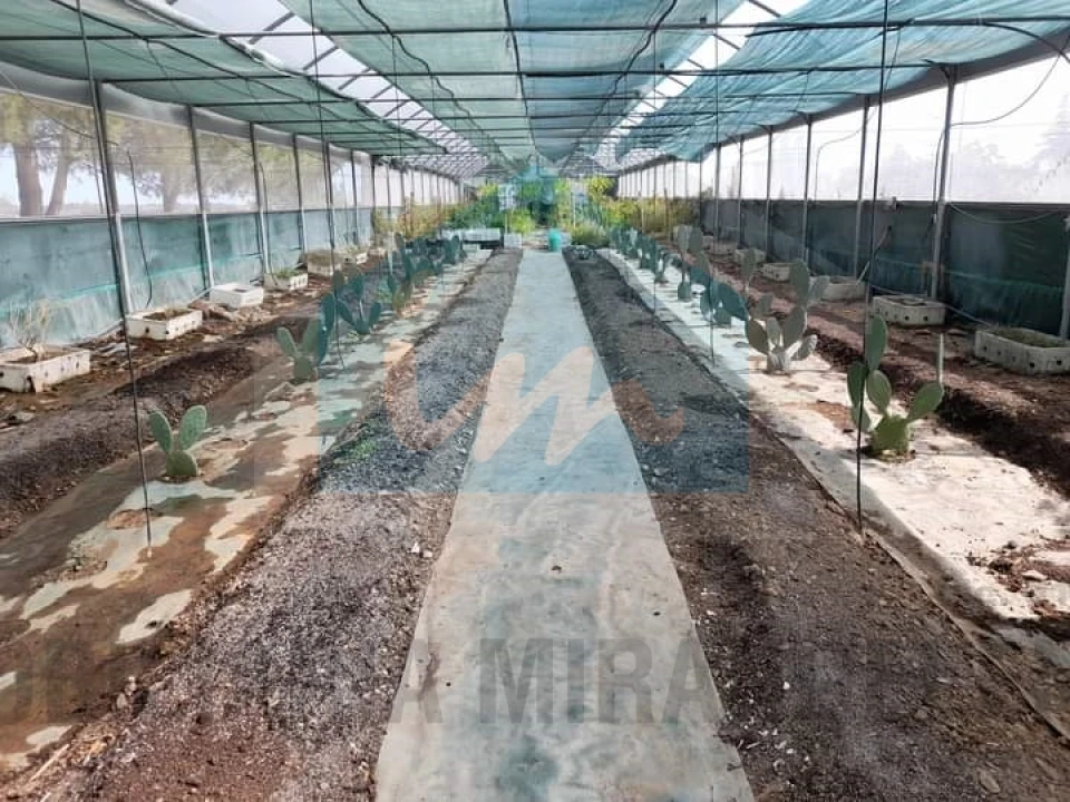 Terreno para Venda em Carvalhais Foto 2