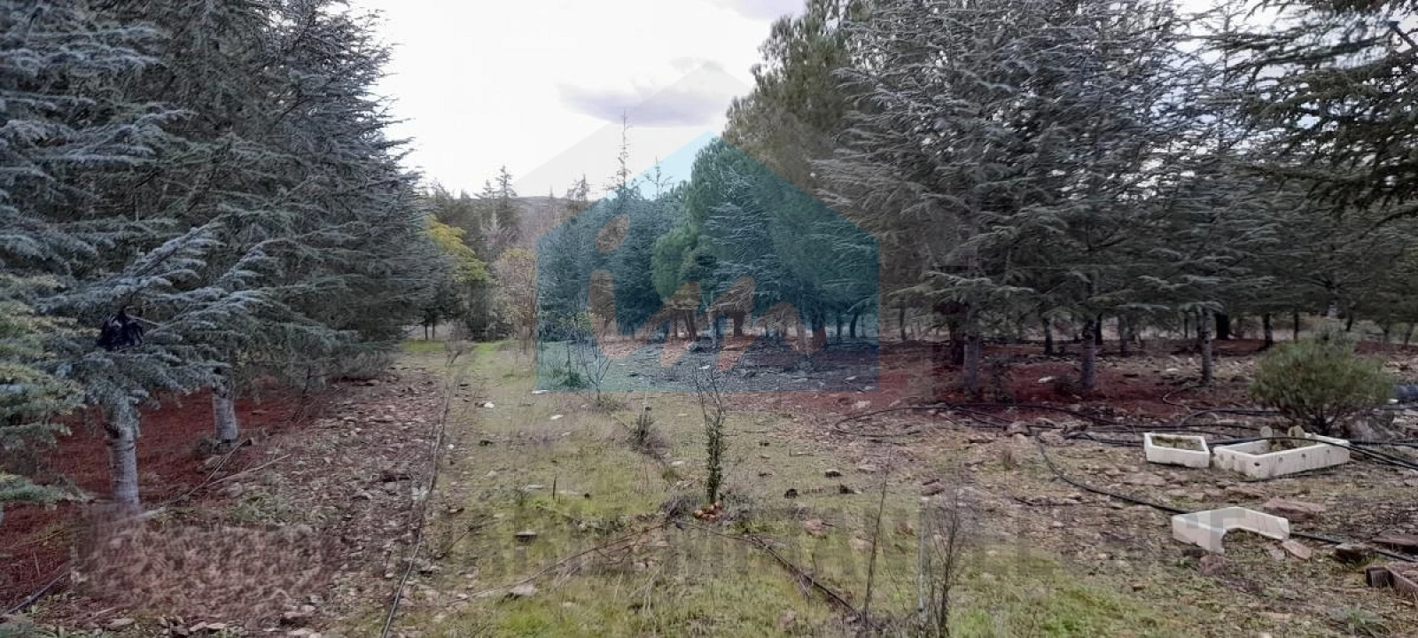 Terreno para Venda em Carvalhais Foto 10