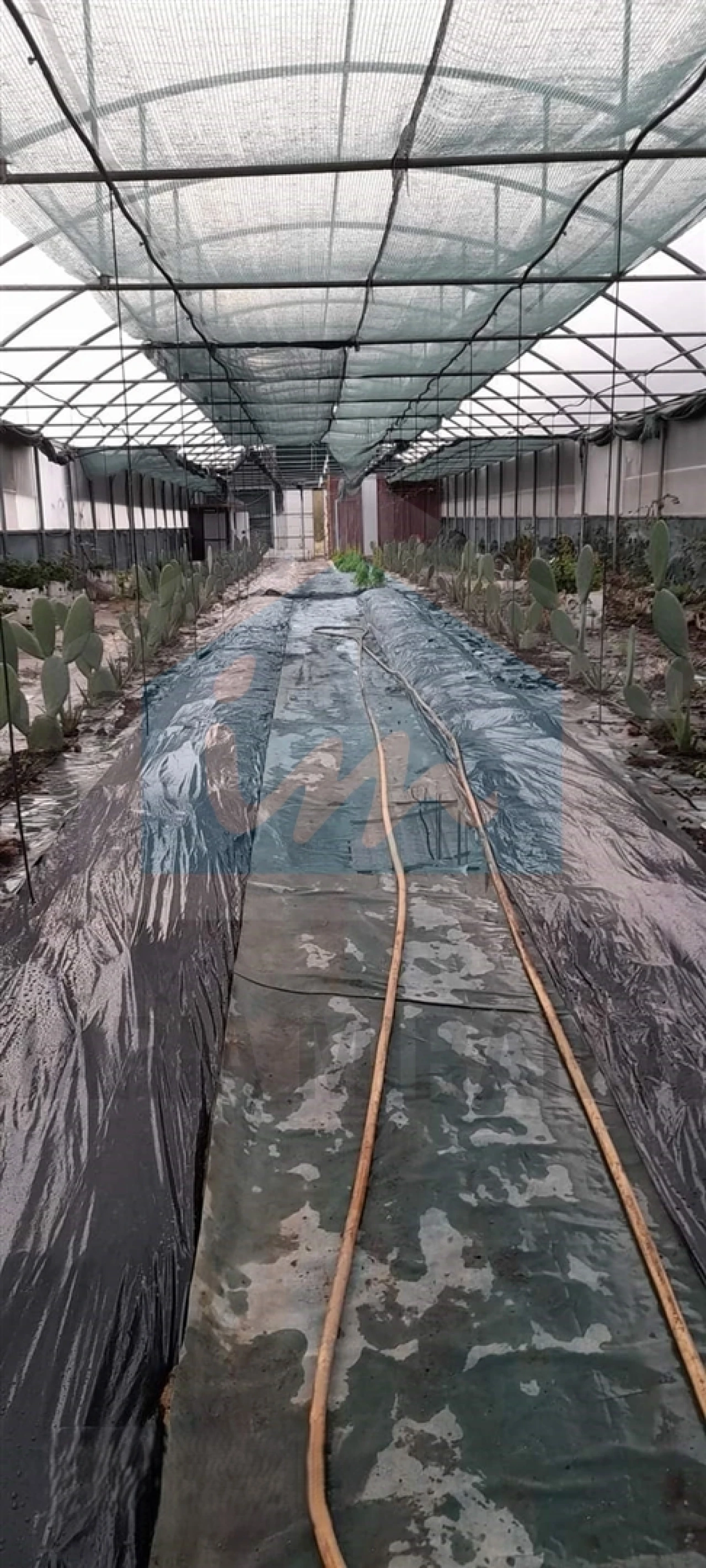 Terreno para Venda em Carvalhais Foto 3