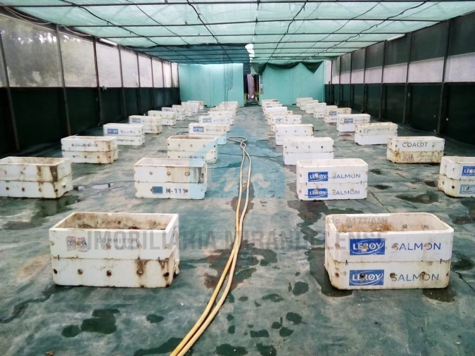 Terreno para Venda em Carvalhais Foto 7