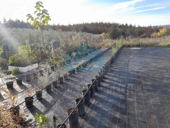 Terreno para Venda em Carvalhais Foto 8