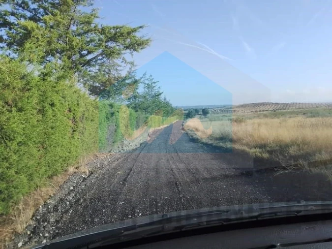 Terreno para Venda em Carvalhais Foto 11