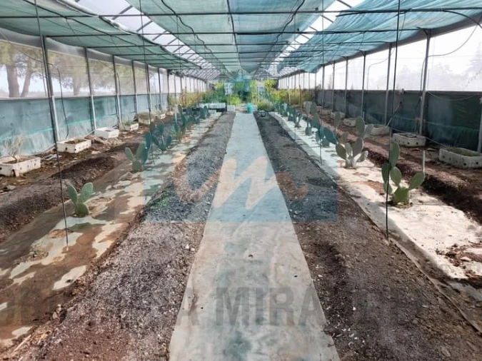 Terreno para Venda em Carvalhais Foto 2