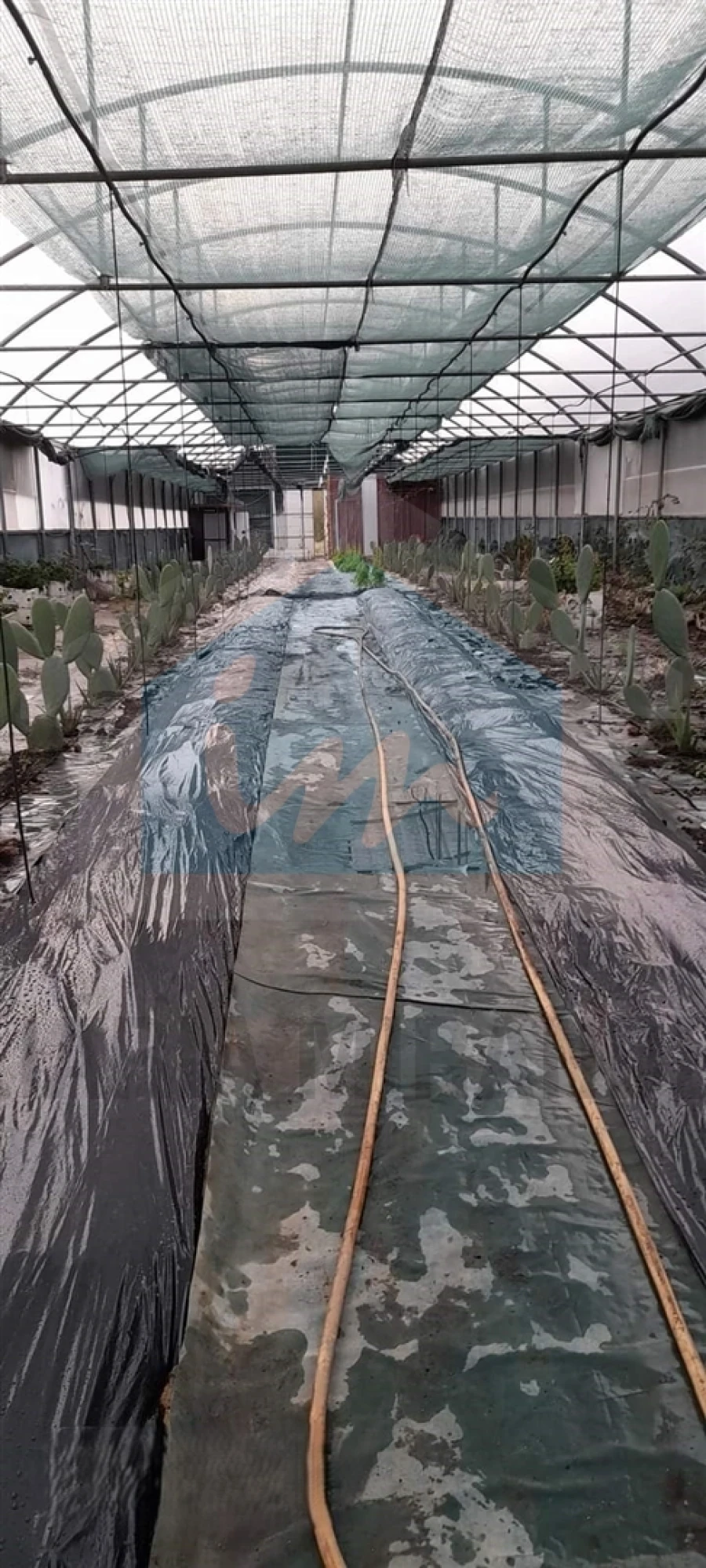 Terreno para Venda em Carvalhais Foto 3