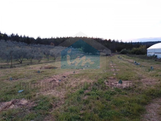 Terreno para Venda em Carvalhais Foto 9