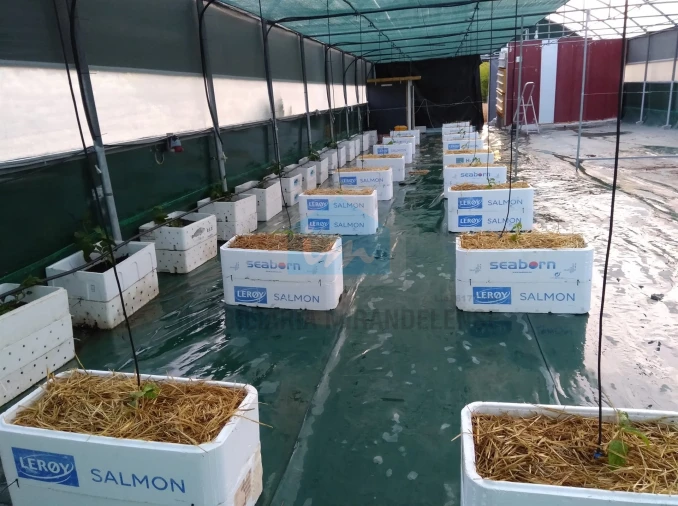 Terreno para Venda em Carvalhais Foto 6