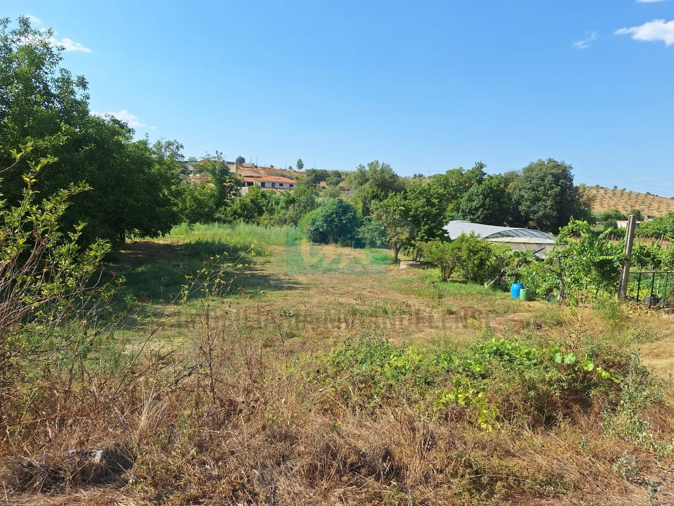 Terreno Agricola ou Rústico para Venda em Mirandela Foto 6