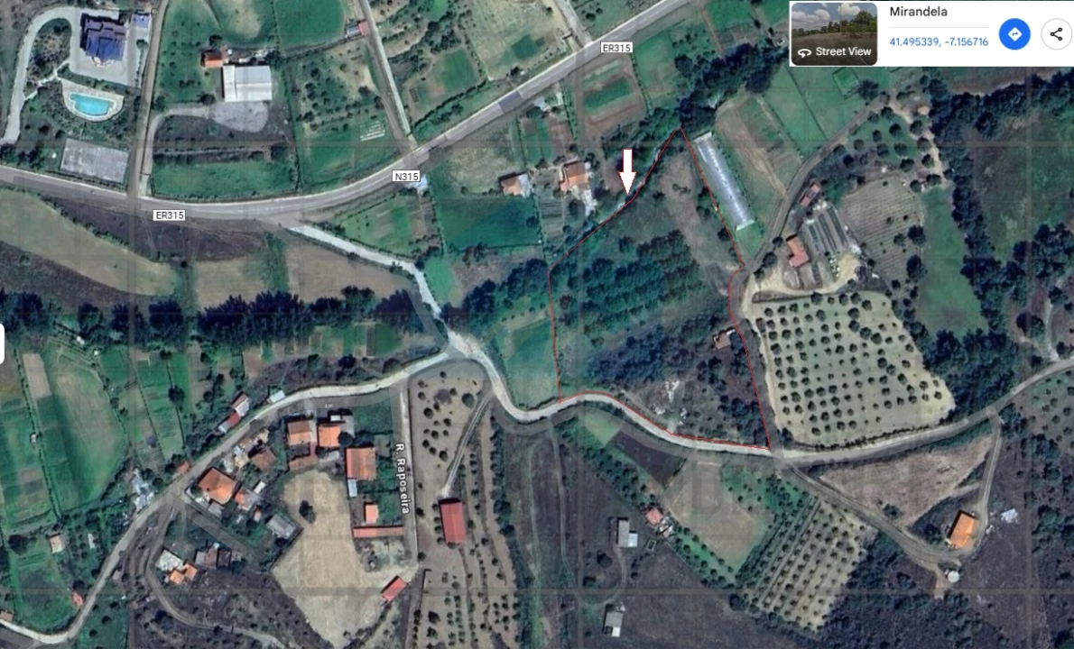 Terreno Agricola ou Rústico para Venda em Mirandela Foto 1