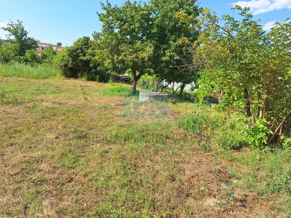 Terreno Agricola ou Rústico para Venda em Mirandela Foto 9