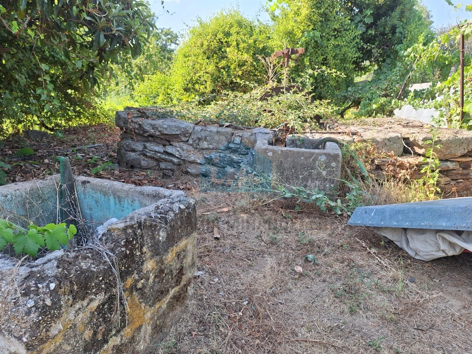 Terreno Agricola ou Rústico para Venda em Mirandela Foto 10