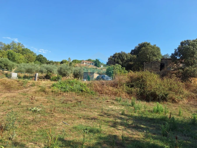 Terreno Agricola ou Rústico para Venda em Mirandela Foto 2