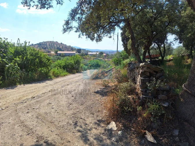 Terreno Agricola ou Rústico para Venda em Mirandela Foto 7