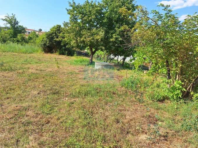 Terreno Agricola ou Rústico para Venda em Mirandela Foto 9