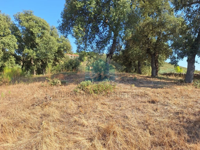 Terreno Agricola ou Rústico para Venda em Mirandela Foto 15