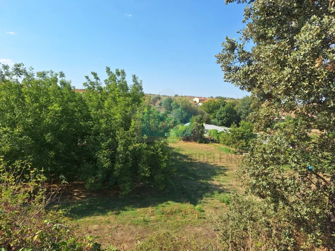 Terreno Agricola ou Rústico para Venda em Mirandela Foto 14