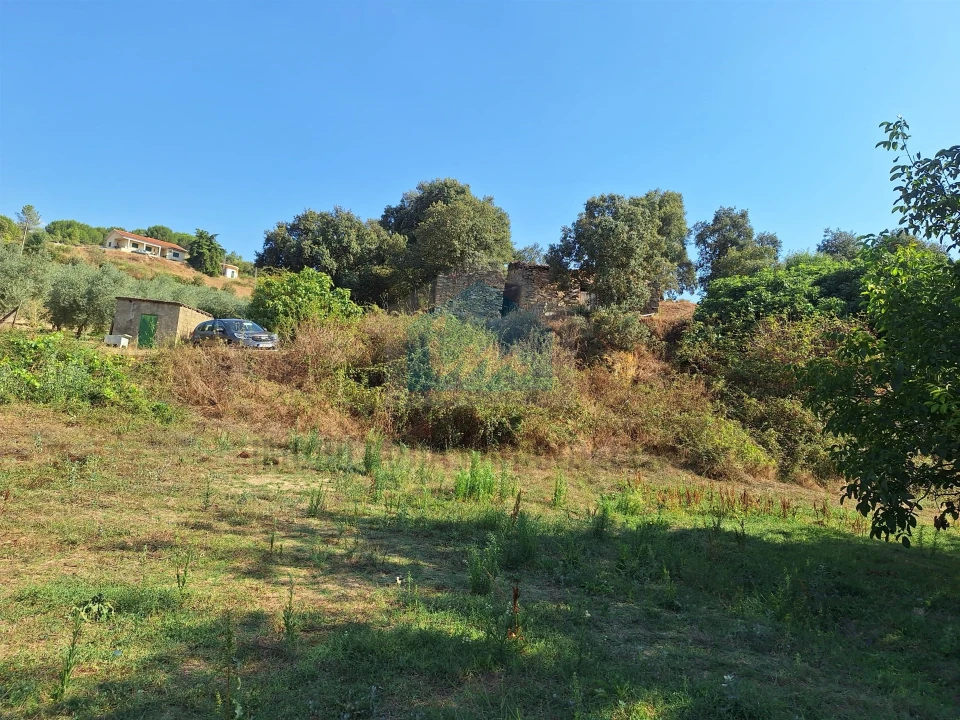 Terreno Agricola ou Rústico para Venda em Mirandela Foto 19