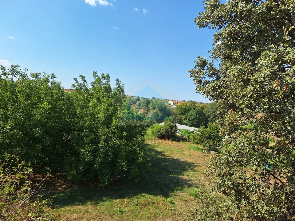 Terreno Agricola ou Rústico para Venda em Mirandela Foto 16