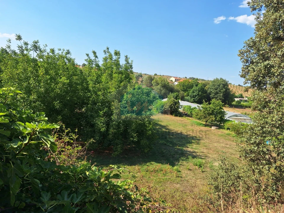 Terreno Agricola ou Rústico para Venda em Mirandela Foto 13