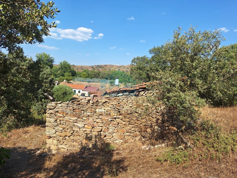 Terreno Agricola ou Rústico para Venda em Mirandela Foto 4