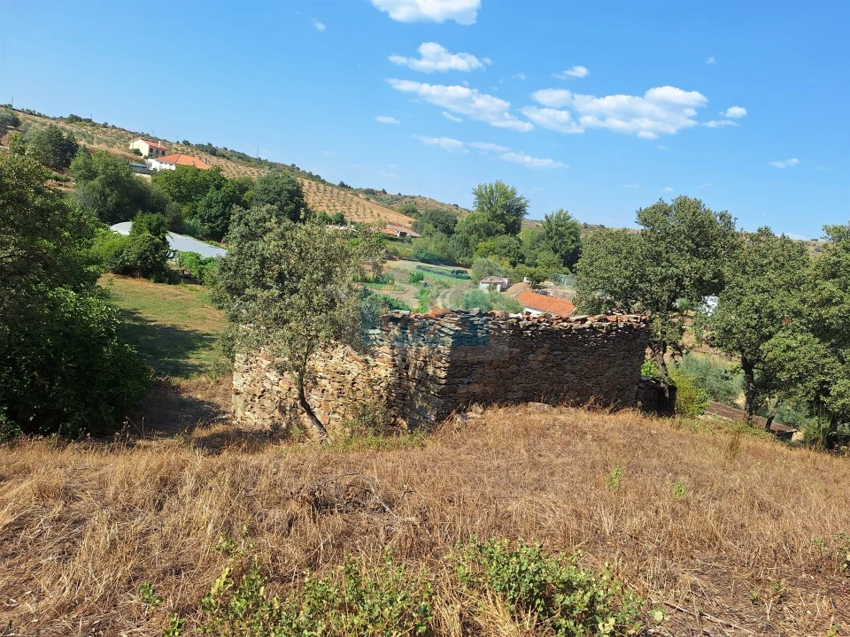 Terreno Agricola ou Rústico para Venda em Mirandela Foto 3