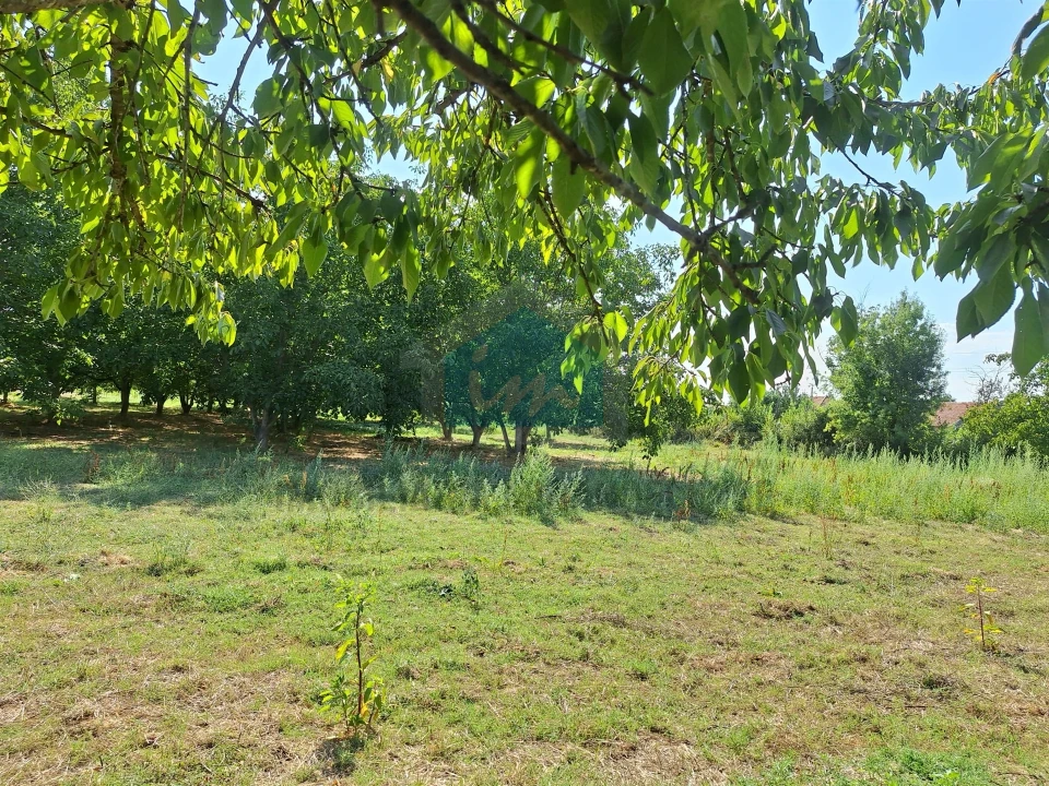 Terreno Agricola ou Rústico para Venda em Mirandela Foto 8