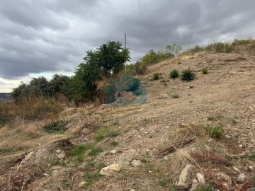 Terreno para Venda em Mirandela