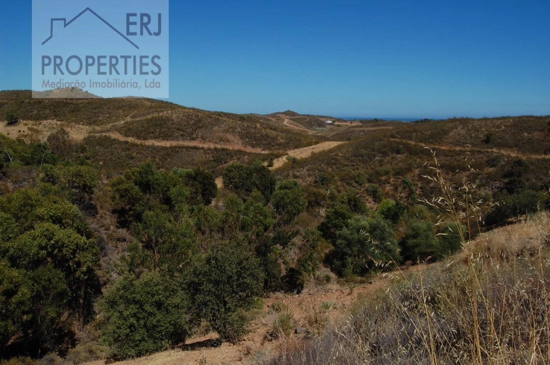 Terreno Misto para Venda em Tavira (Santa Maria e Santiago) Foto 7