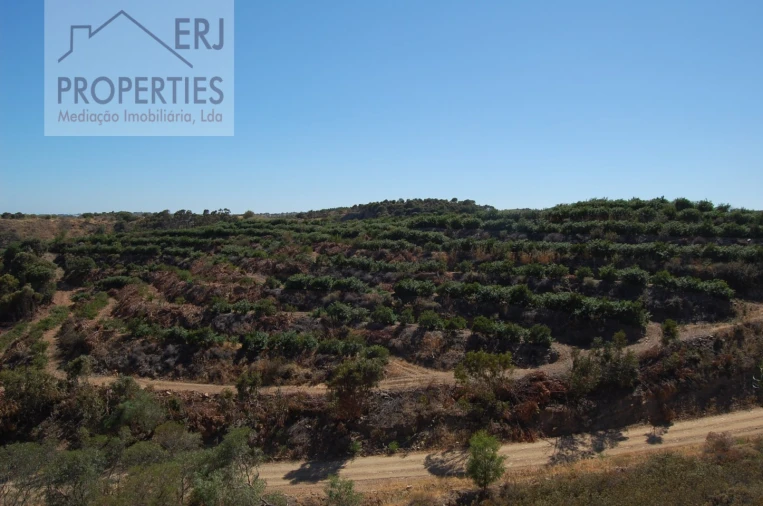 Terreno Misto para Venda em Tavira (Santa Maria e Santiago) Foto 14