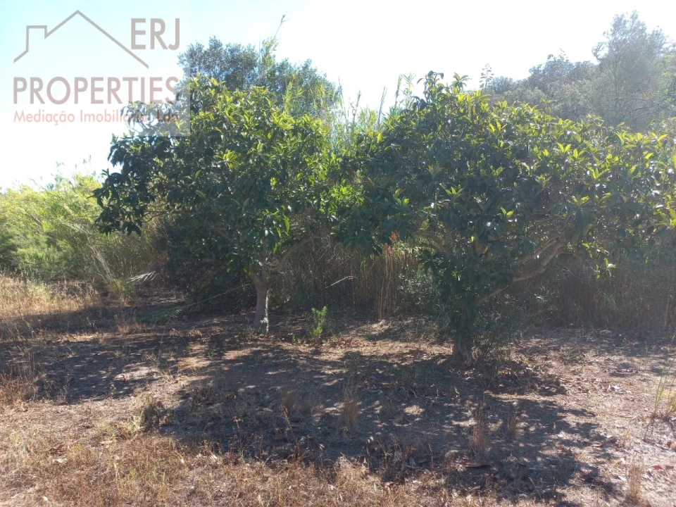 Terreno Agricola ou Rústico para Venda em Castro Marim Foto 8