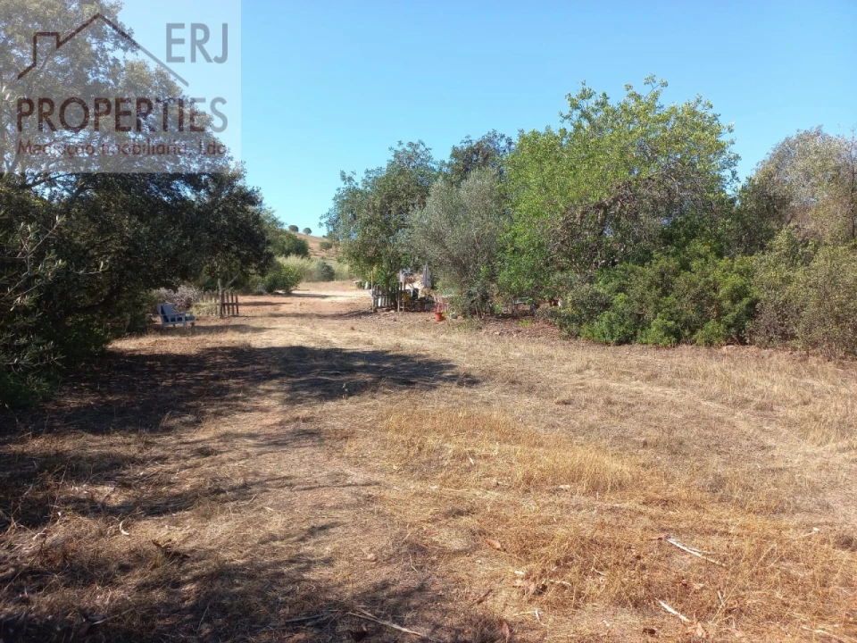 Terreno Agricola ou Rústico para Venda em Castro Marim Foto 14