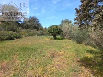 Terreno Agricola ou Rústico para Venda em Castro Marim