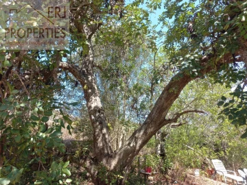 Terreno Agricola ou Rústico para Venda em Castro Marim