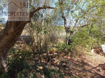Terreno Agricola ou Rústico para Venda em Castro Marim