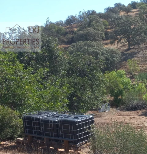 Terreno Agricola ou Rústico para Venda em Castro Marim