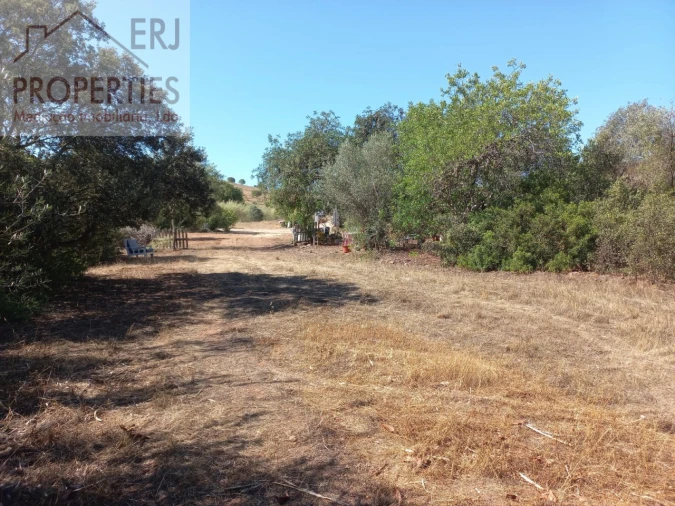 Terreno Agricola ou Rústico para Venda em Castro Marim Foto 14