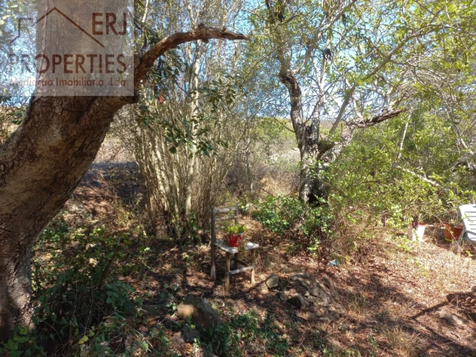 Terreno Agricola ou Rústico para Venda em Castro Marim Foto 15