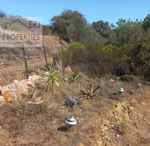 Terreno Agricola ou Rústico para Venda em Castro Marim Foto 18