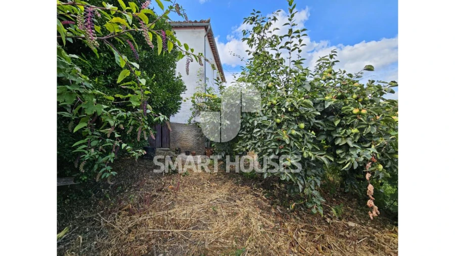 Moradia T3 para Venda em Côja e Barril de Alva Foto 28