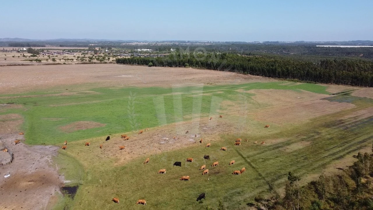 Quinta para Venda em São Teotónio Foto 1