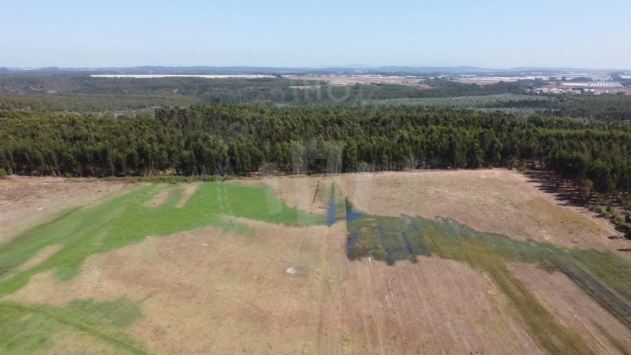 Quinta para Venda em São Teotónio Foto 2