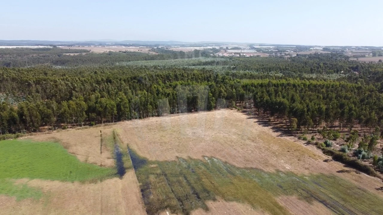 Quinta para Venda em São Teotónio Foto 3