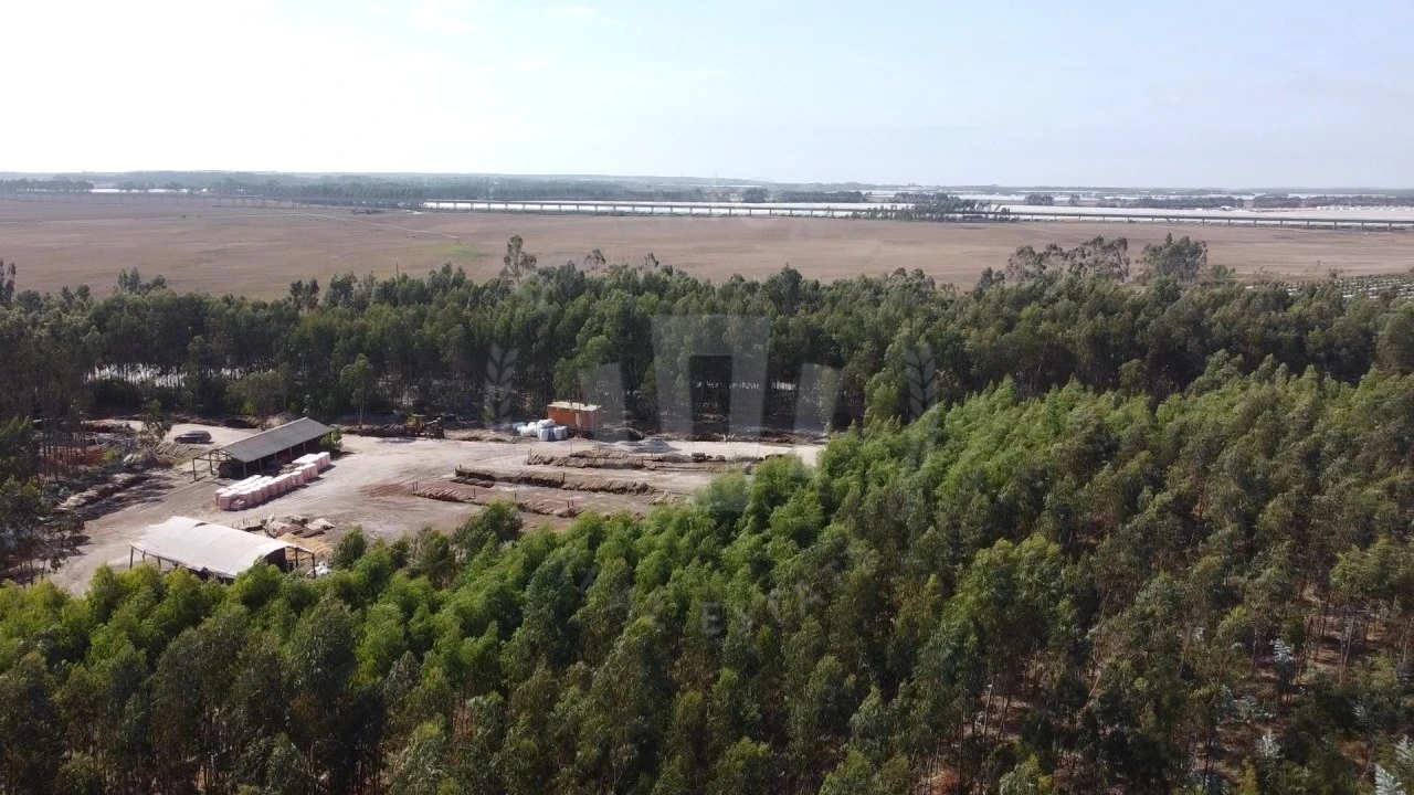 Quinta para Venda em São Teotónio Foto 7