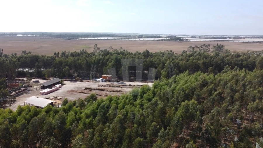 Quinta para Venda em São Teotónio Foto 7