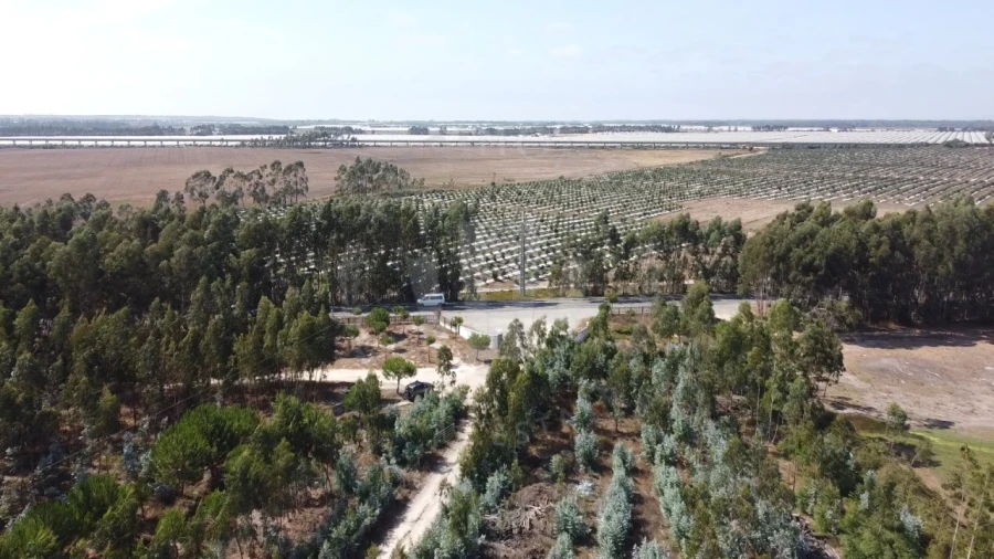 Quinta para Venda em São Teotónio Foto 16