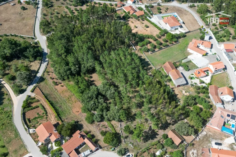 Terreno Agricola ou Rústico para Venda em São Mamede Foto 9