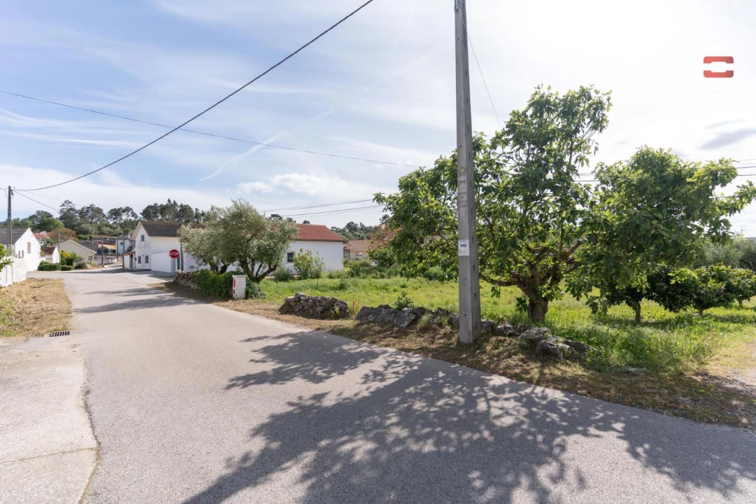 Terreno para Venda em São Mamede Foto 2