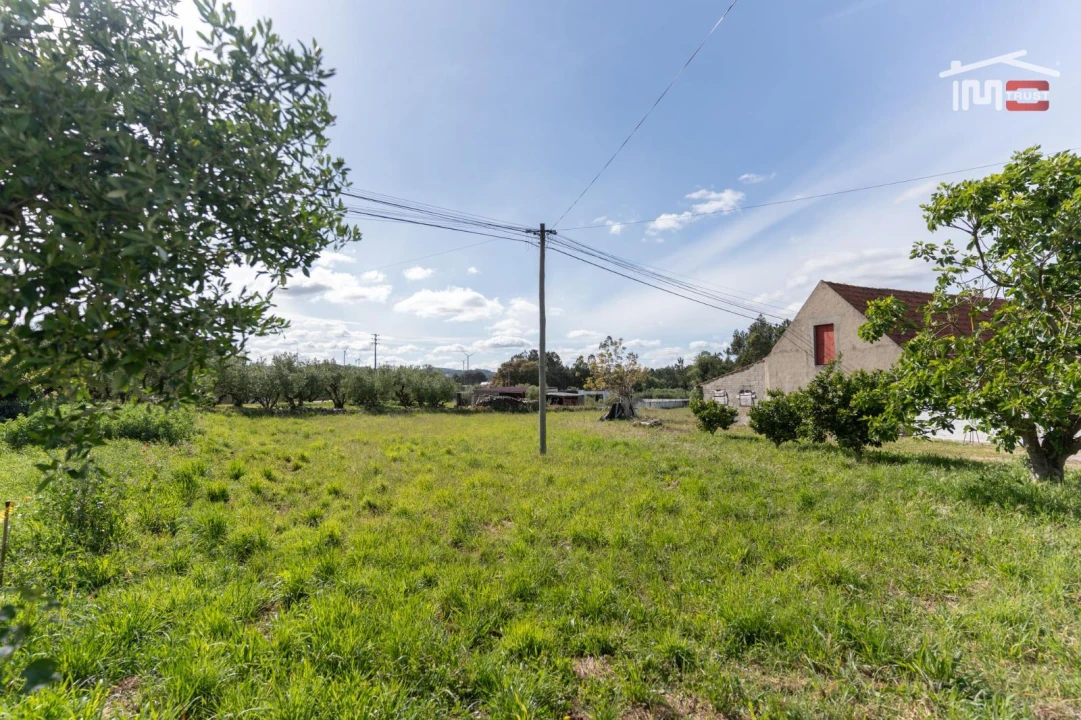 Terreno para Venda em São Mamede Foto 3