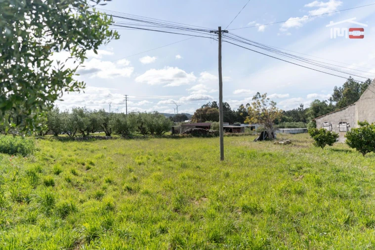 Terreno para Venda em São Mamede Foto 4