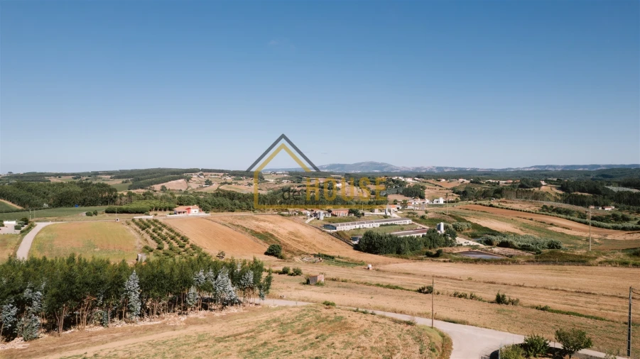 Armazém para Venda em Miragaia e Marteleira Foto 17