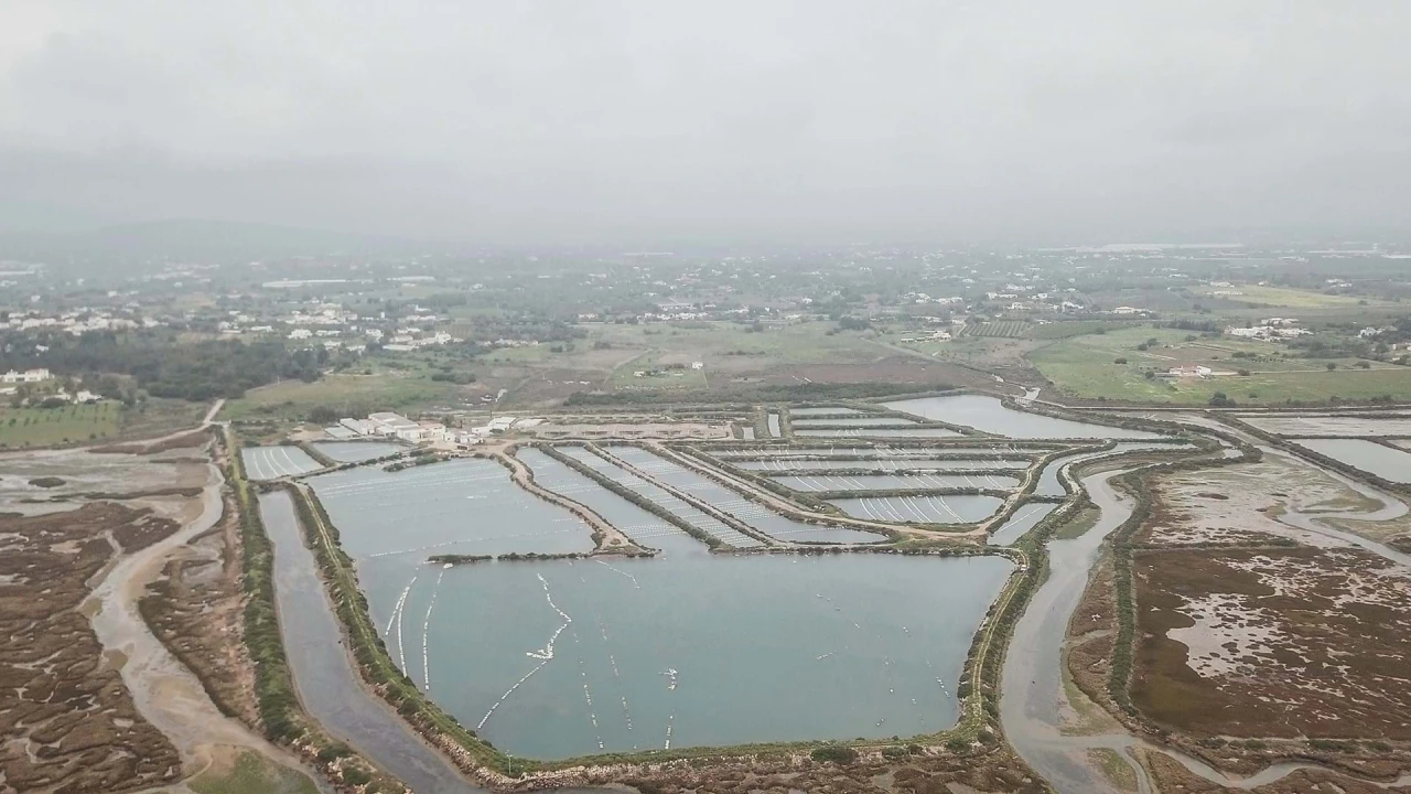 Quinta para Venda em Conceição e Cabanas de Tavira Foto 9